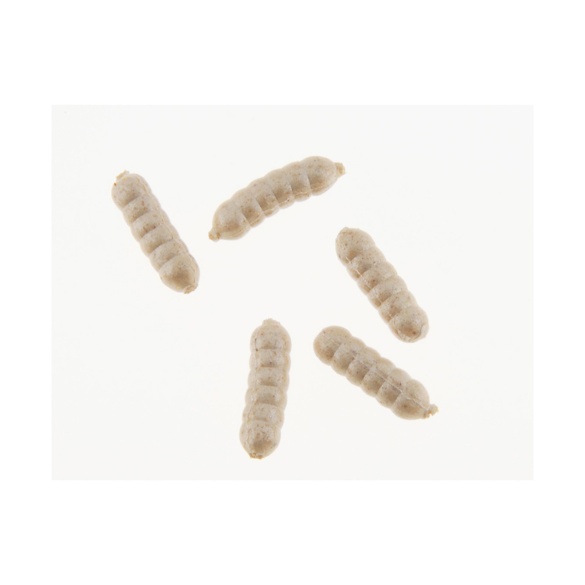 Berkley PowerBait Power Wigglers