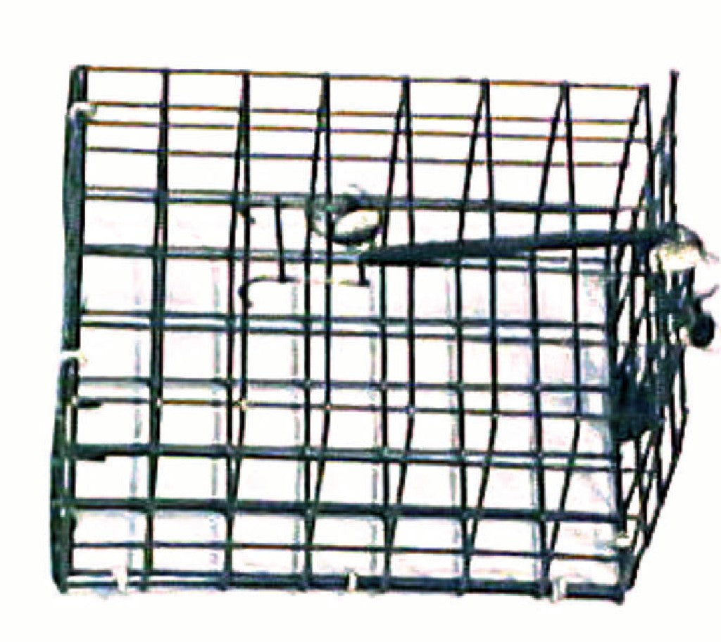 Willapa Marine Bait Cage