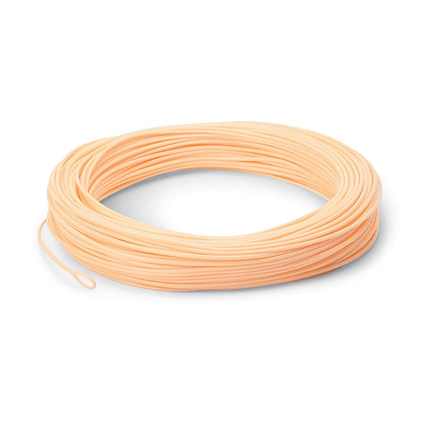 444 Peach Double Taper