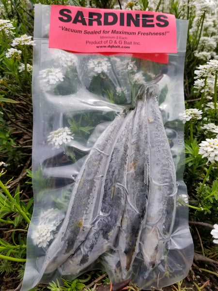 D & G Bait Sardines Vacuum Packed Fish Bait