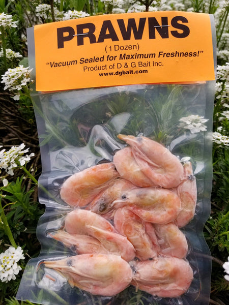D & G Bait Arctic Prawns Vacuum Packed Fish Bait, 12 Count