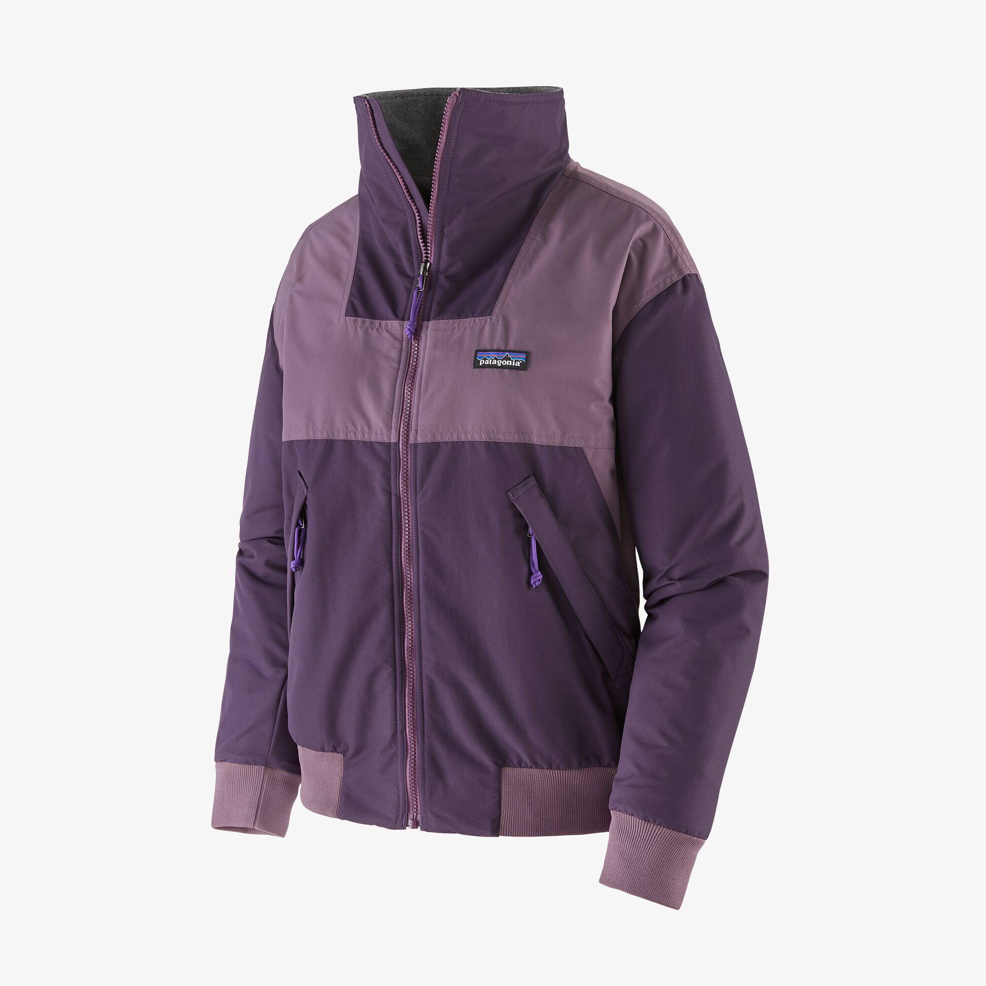 Patagonia Women's Shelled Synchilla Jacket