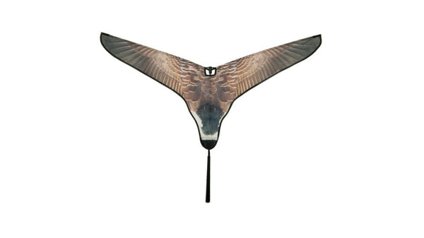 Avery Super Flag-Canada Goose