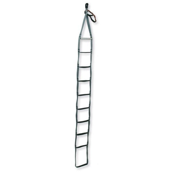 Capm USA Ladder Aider
