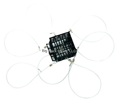 PUCCI Square 6 Loop Crab Snare - Holiday Gift