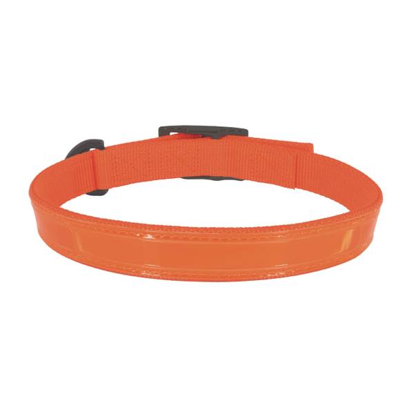 Water & Woods Double-Ply Reflective Hound Dog Collar 1" X 20"