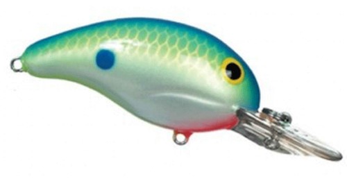 Bandit 200 Series Crankbait, Citrus - Holiday Gift