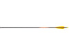 Beman Ics Carbon Precision Hunter Junior Arrow