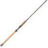 Fenwick Salmon & Steelhead Casting Rod ZZZ