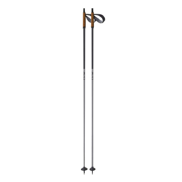 Fischer Diamond Alc Poles