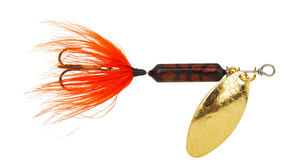 Worden's Original Rooster Tail 1/24 ZZZ