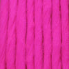 The Bug Shop Glo Bugs Yarn